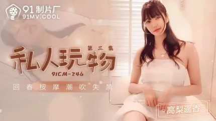 91CM-246 私人玩物3 高梨遙香