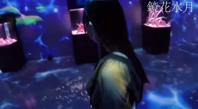 FC2PPV-4566520 傳奇美女S醬私服初水族館