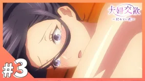 夫婦交歡～回不去的夜晚 3