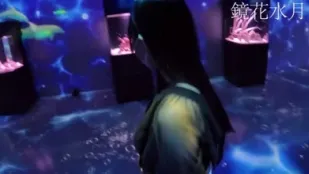 FC2PPV-4566520 傳奇美女S醬私服初水族館
